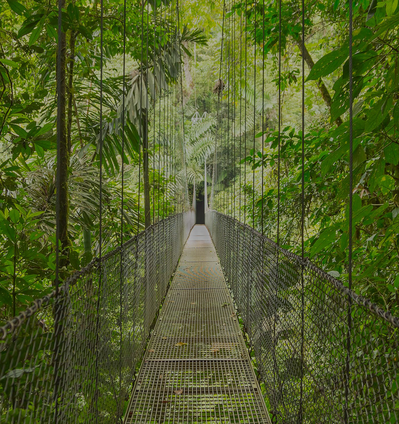 Photgraphy d'un pont en Guadeloupe