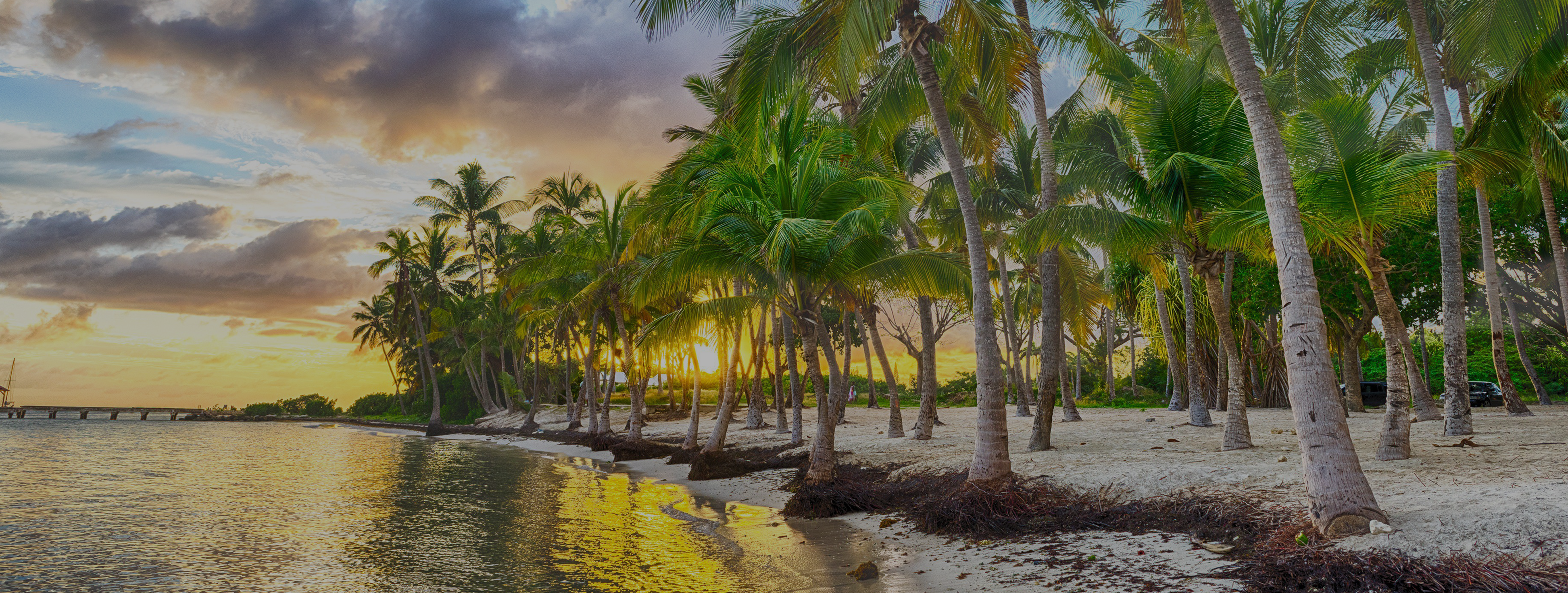Photgraphy d'un cascade en Guadeloupe
