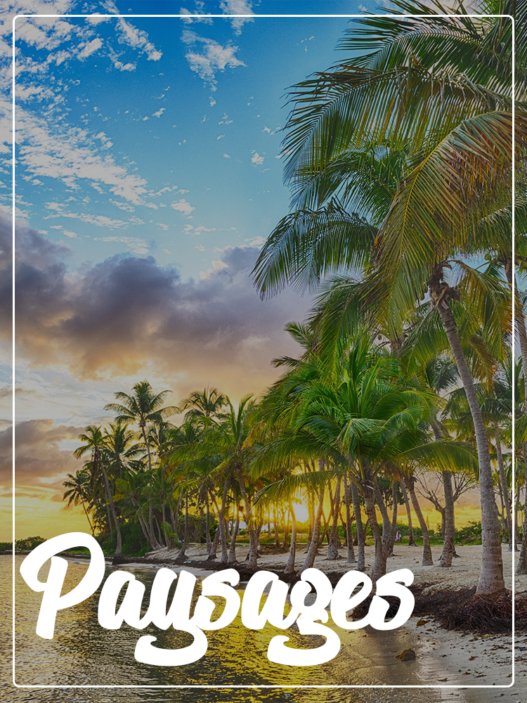 carte theme paysage