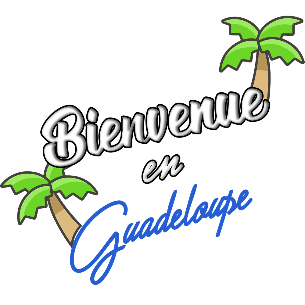 logo du site